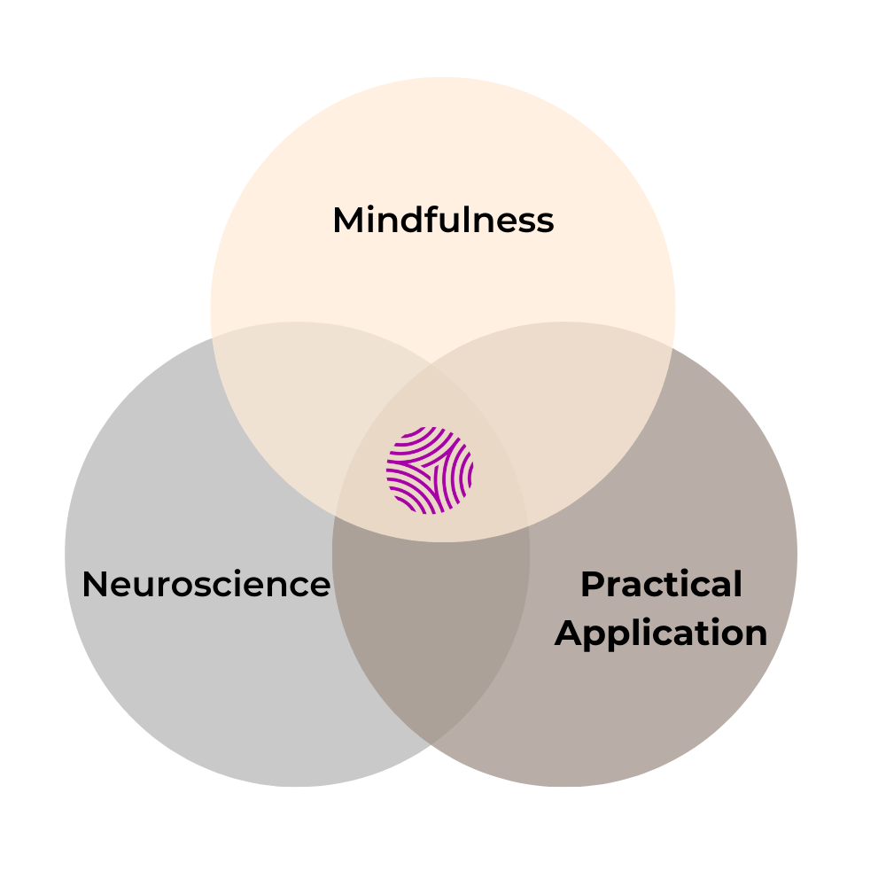 Three interlocking circles showing how SIY Global Emotional intelligence programs meet at the intersection of Mindfulness, Neuroscience, and Practical application.