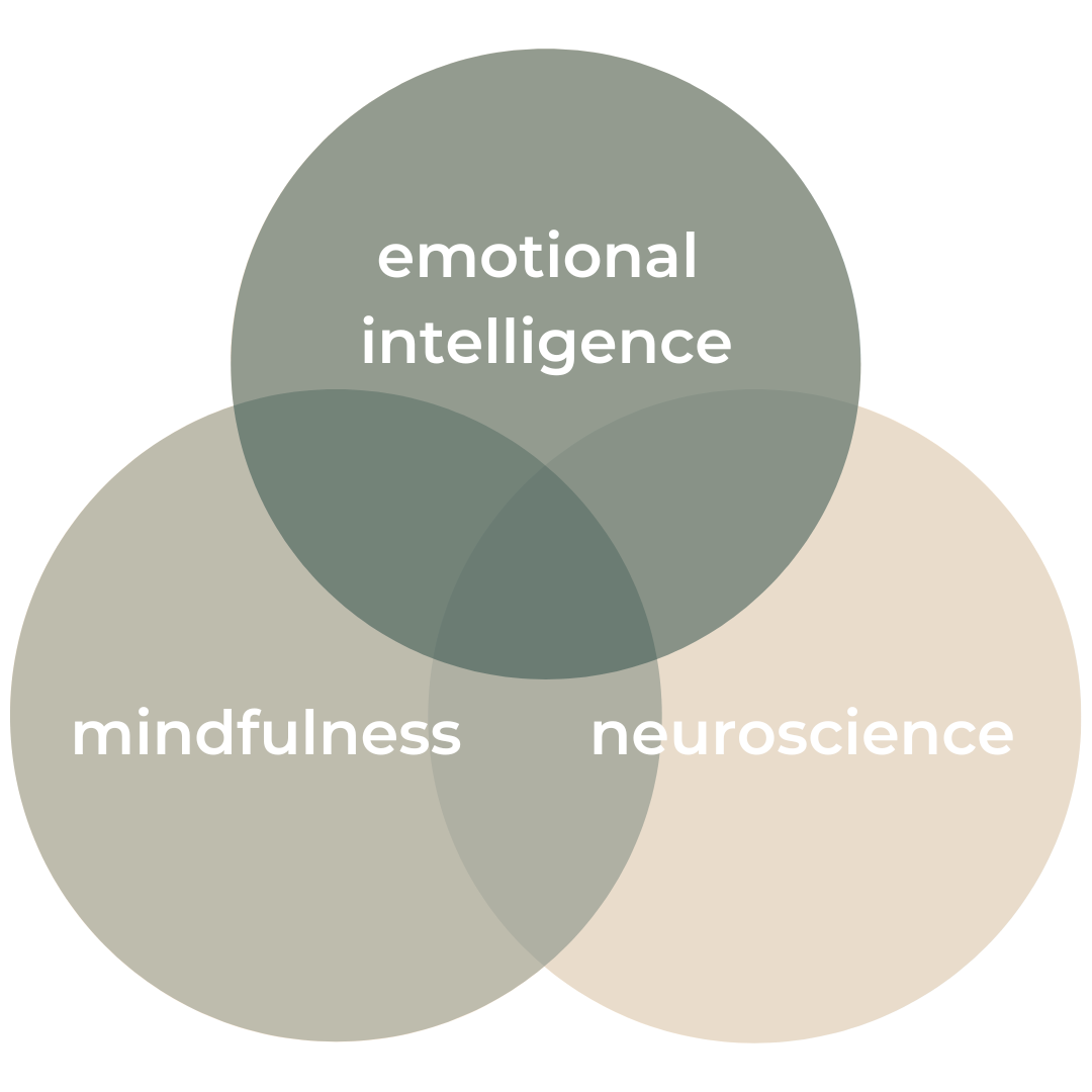 MindfulnessEINeuroscience-triad